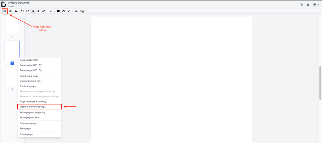 A screenshot of the DocHuyb editor with the Page Controls panel open, displaying a right-click context menu on a page thumbnail with the "Insert file divider group..." option highlighted.