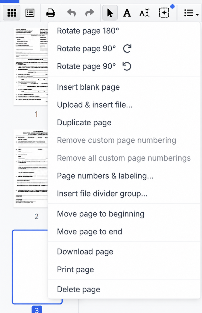 DocHub page menu with the Insert file divider group option.